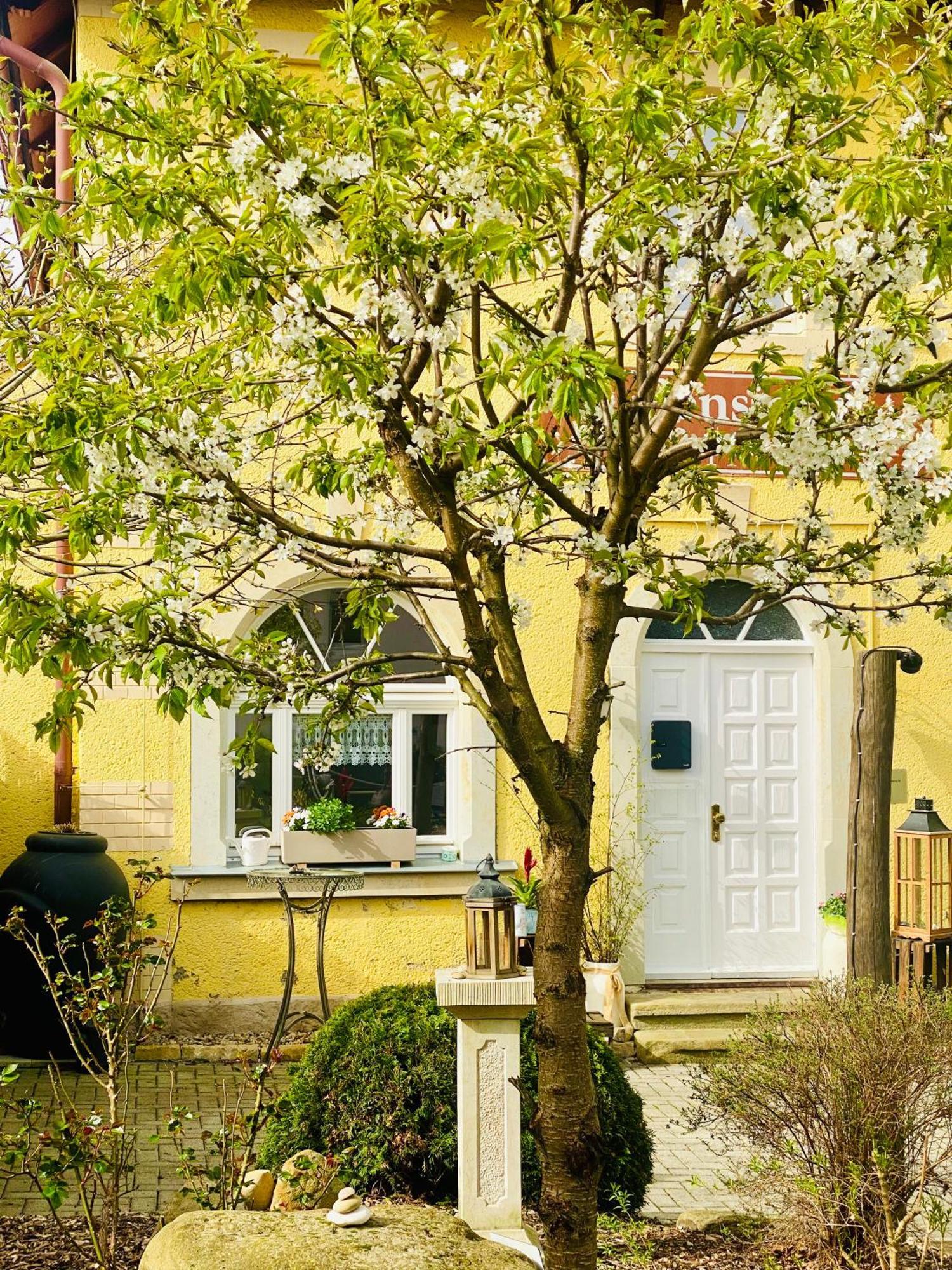 Restaurant Und Pension Zur Puppenstube ชโตลเพน ภายนอก รูปภาพ